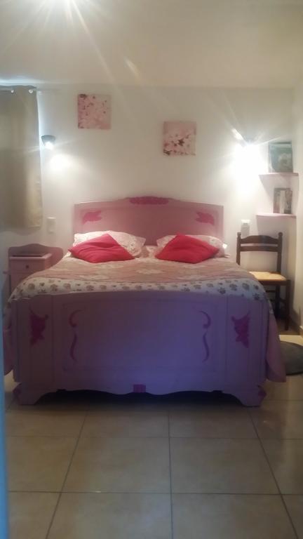 Chambres D'Hotes Anne-Marie Châtillon-sur-Indre エクステリア 写真