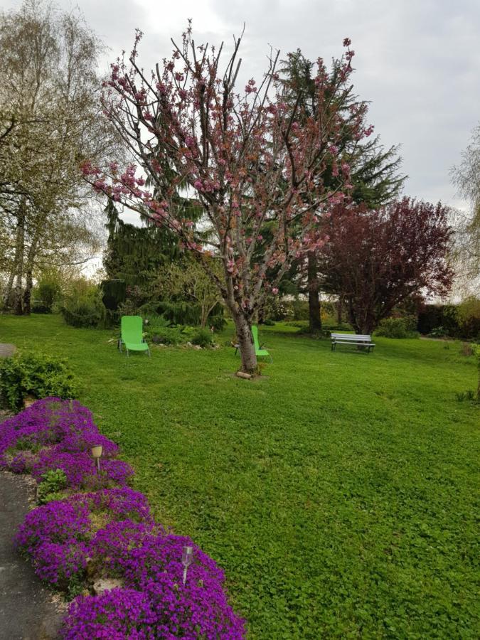 Chambres D'Hotes Anne-Marie Châtillon-sur-Indre エクステリア 写真