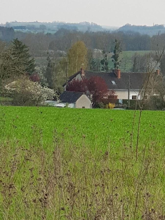 Chambres D'Hotes Anne-Marie Châtillon-sur-Indre エクステリア 写真