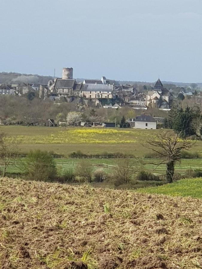 Chambres D'Hotes Anne-Marie Châtillon-sur-Indre エクステリア 写真